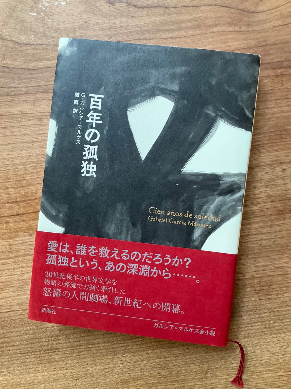 「好き」の外へ、手を伸ばす　百年の孤独