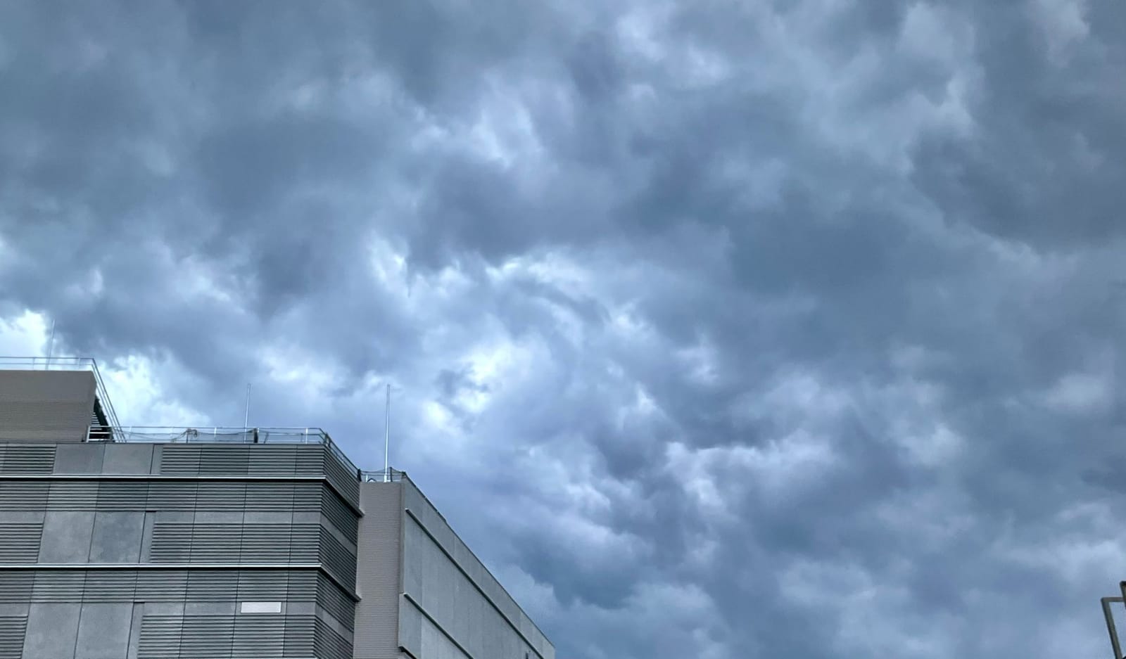 ゲリラ豪雨