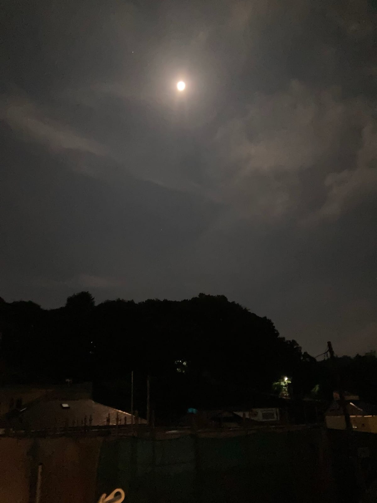 秋の声