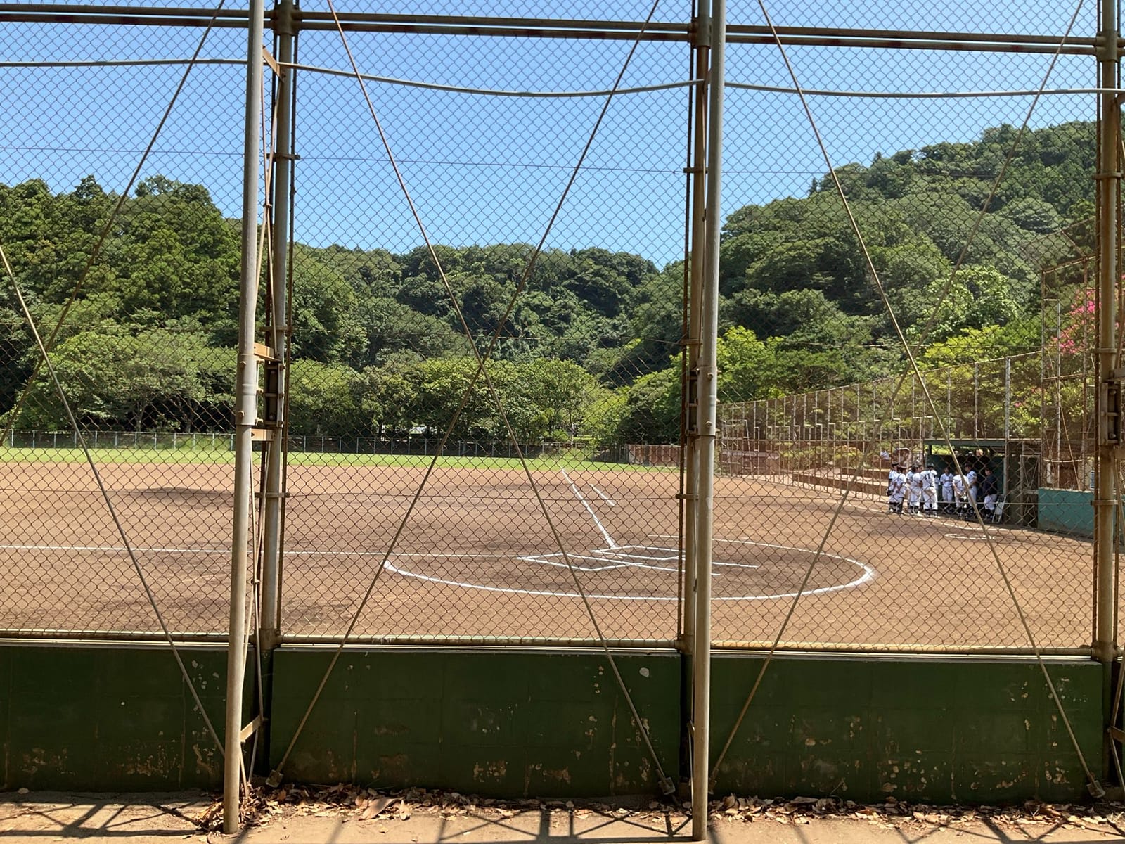野球部試合観戦に思う