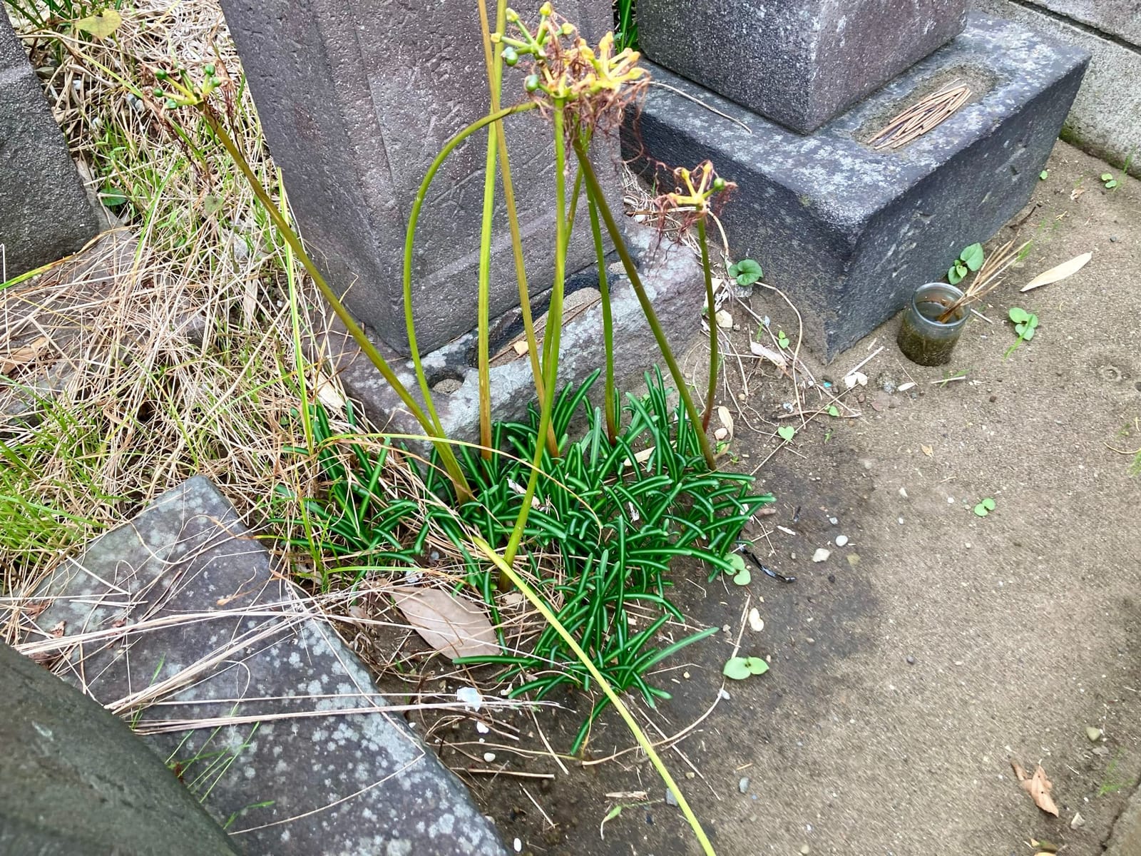 秋の振り返り