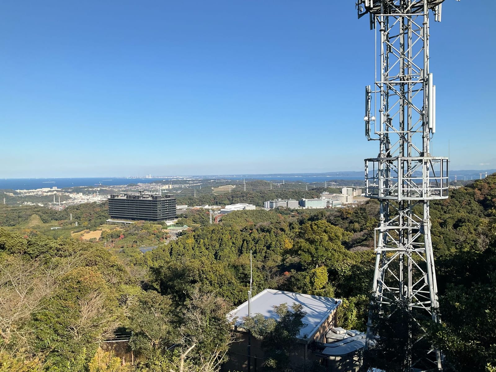 タカを見ようと武山へ