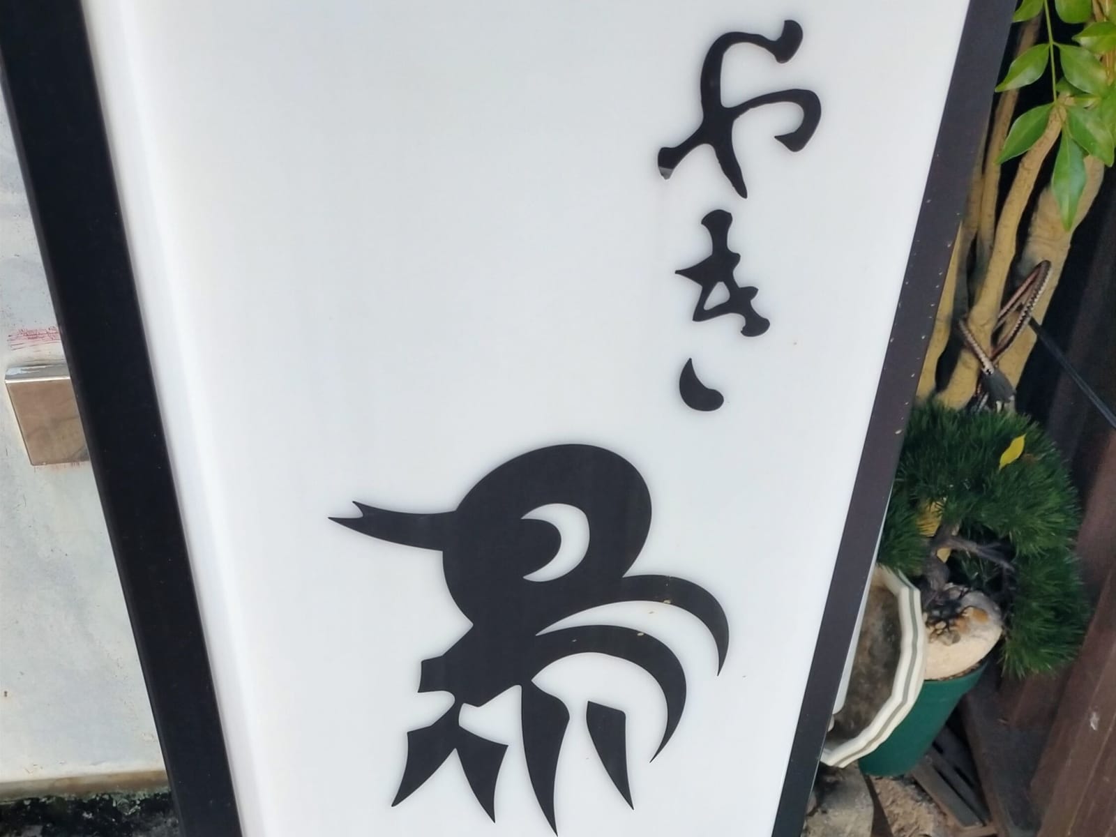 バードウォッチング