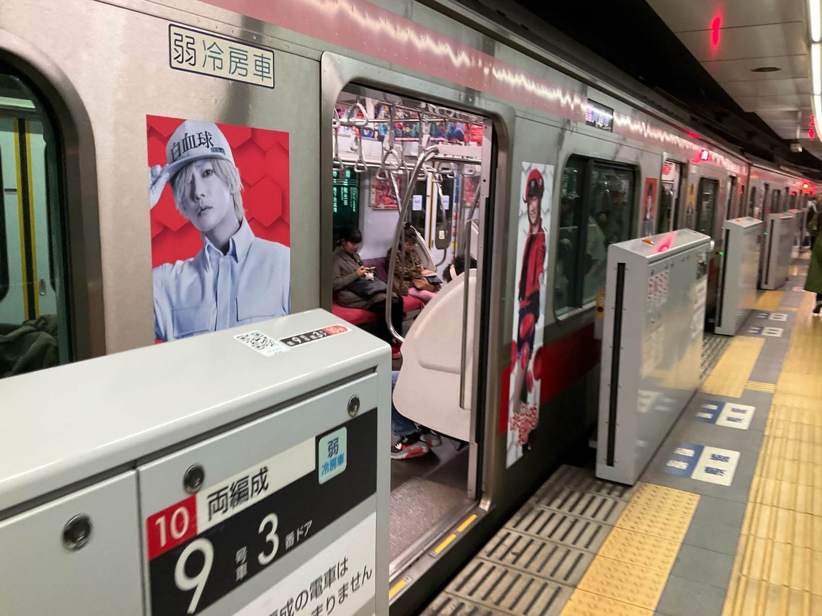 働く細胞
