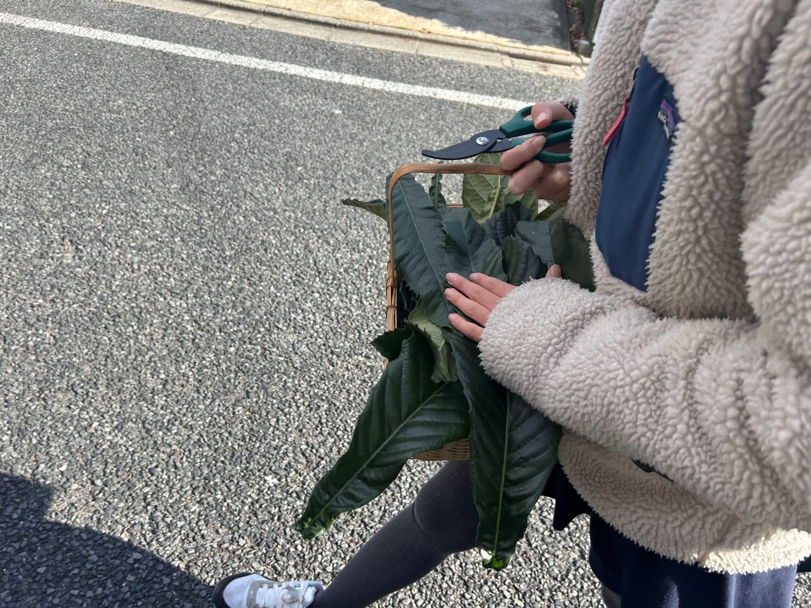 身体を整える
