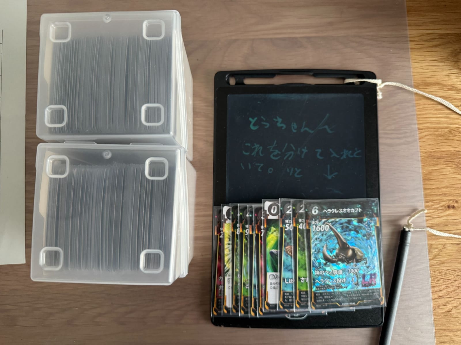この有り様