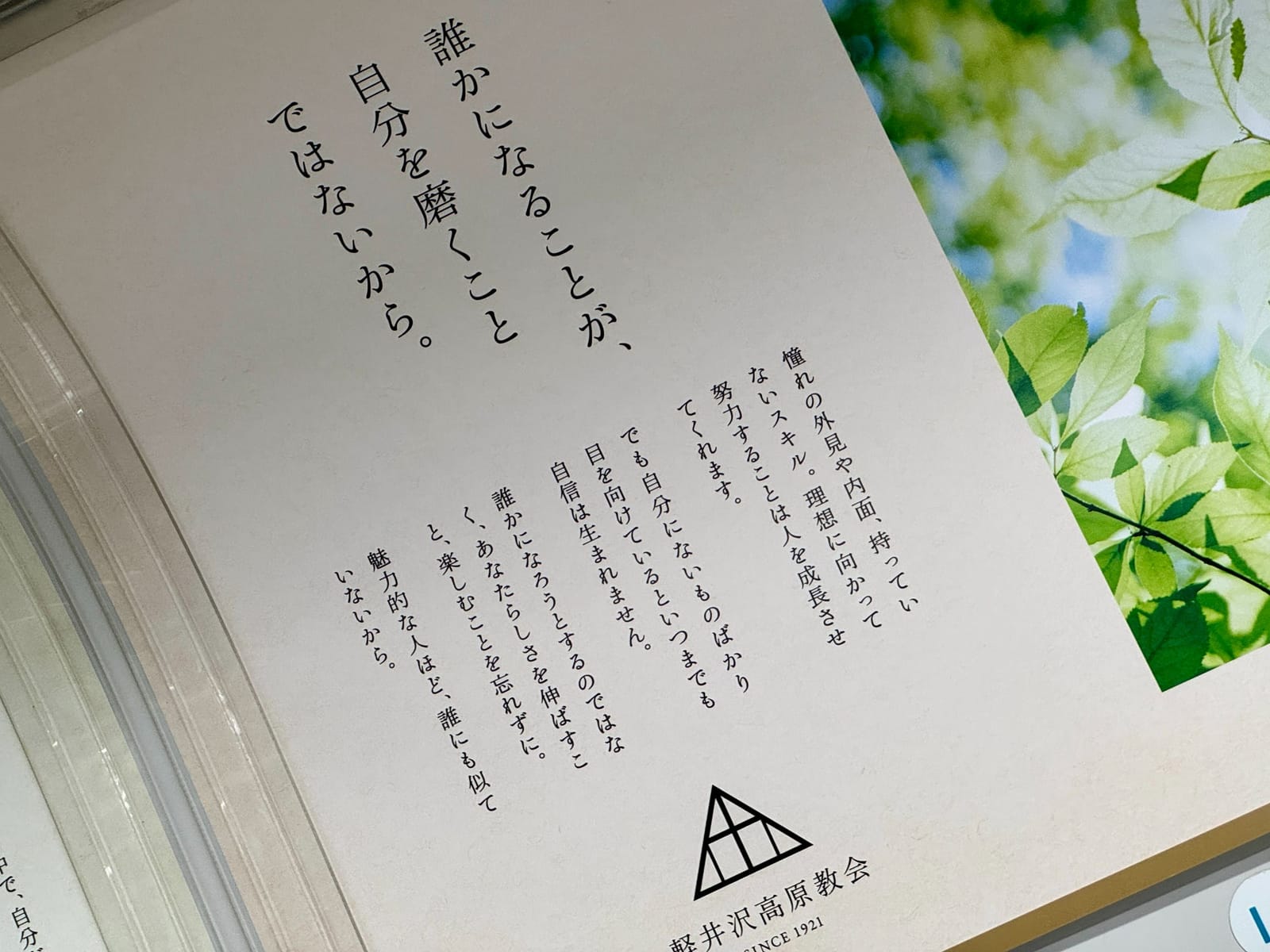 信頼できる世界観