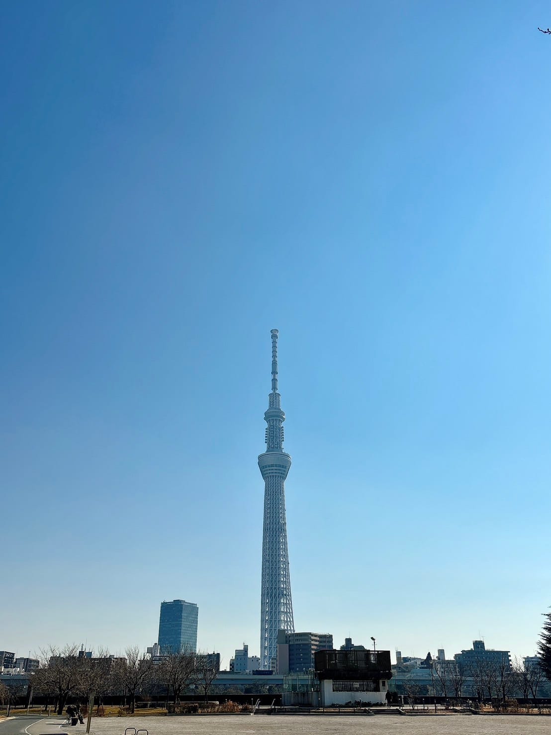 綱渡りな朝