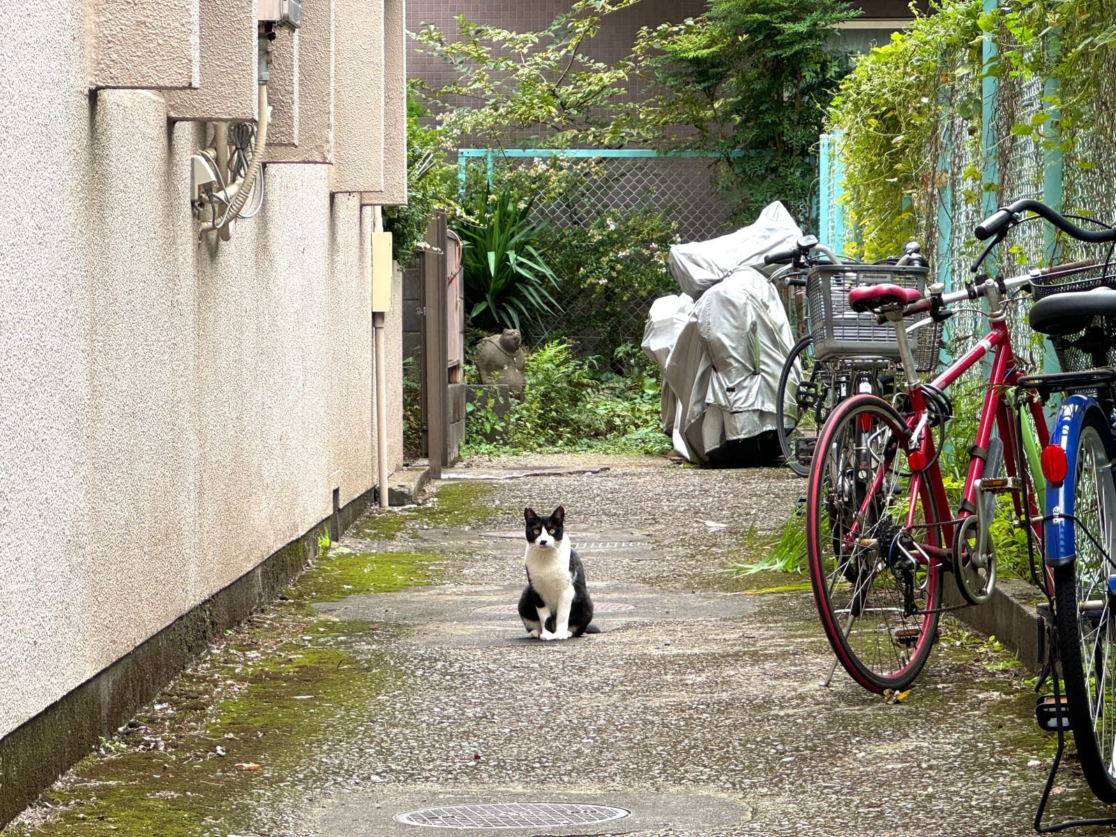 人間界は複雑