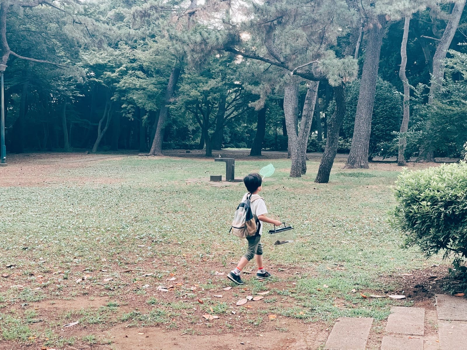 本当のところを聞けるものなら聞いてみたい
