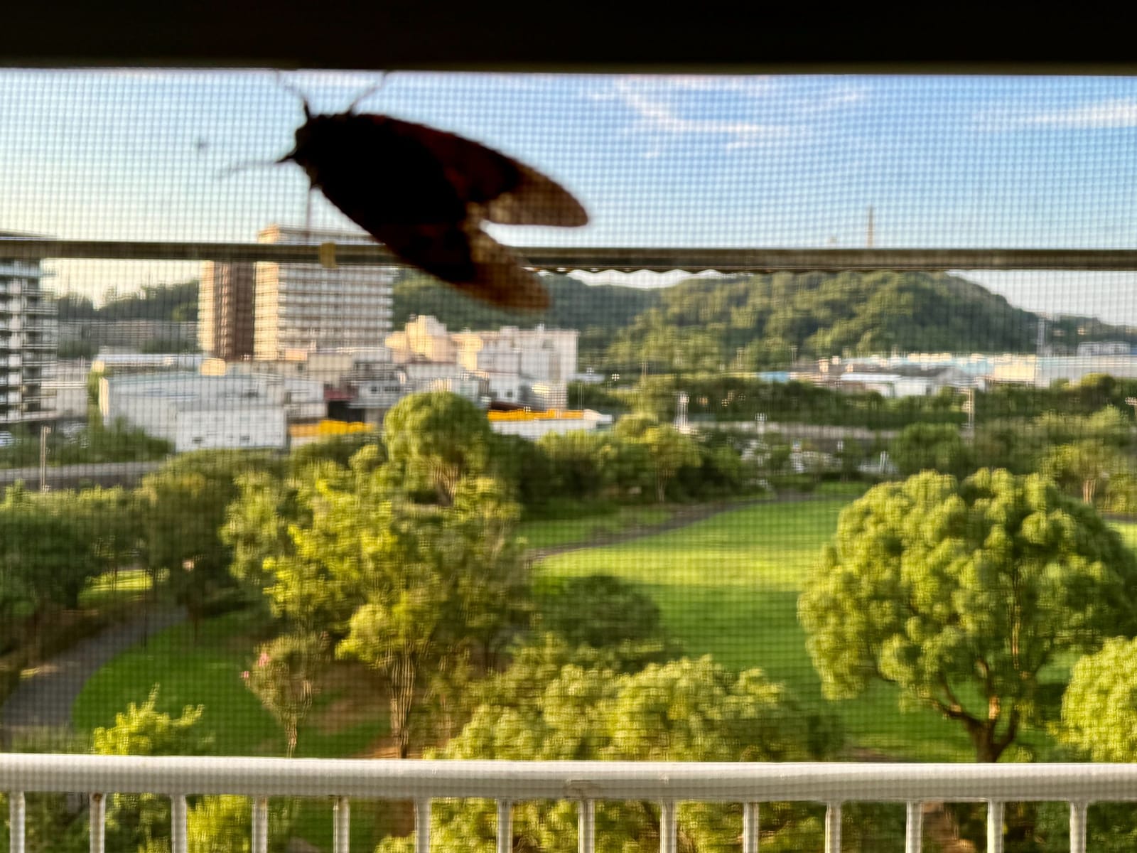 常に右肩上がり