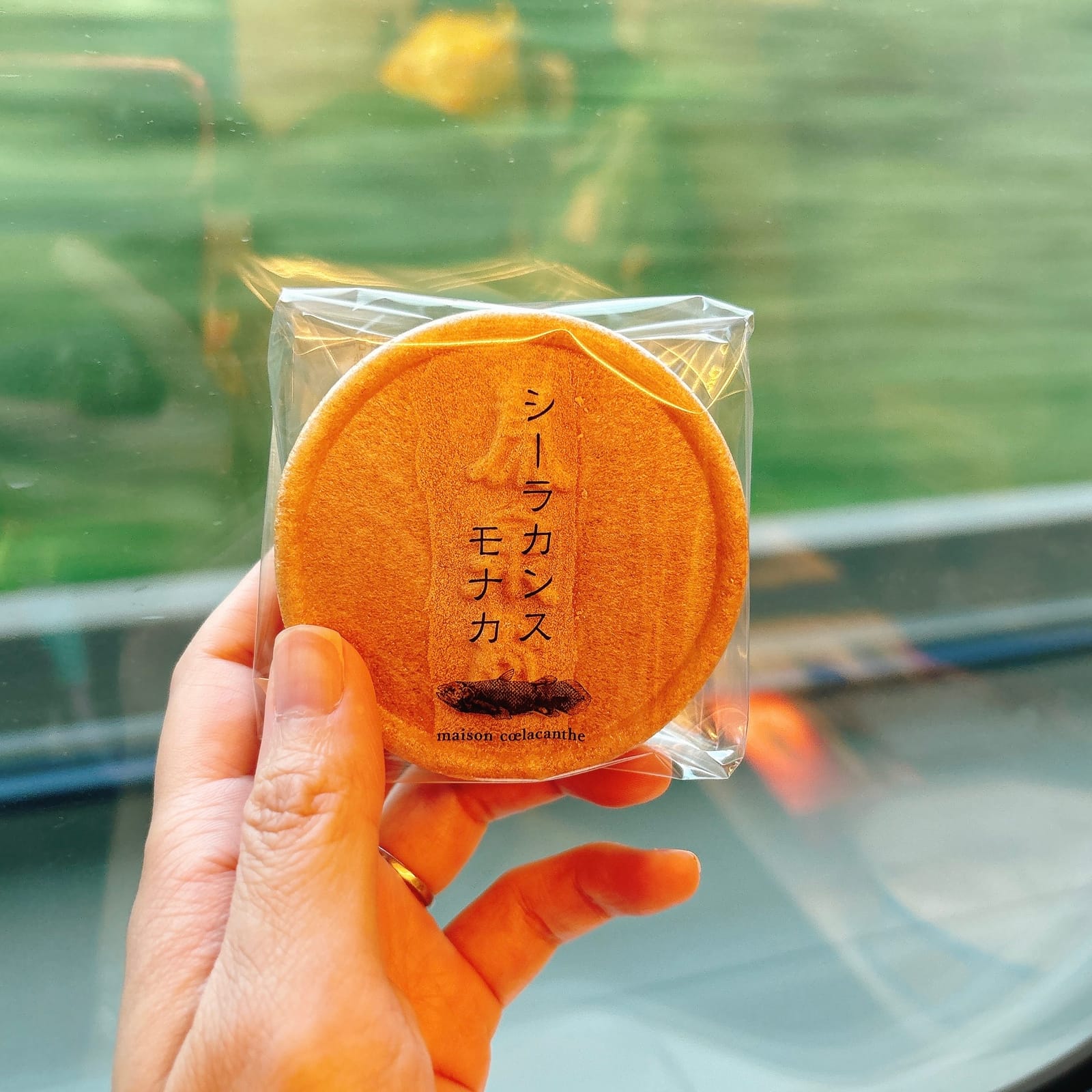美味しい思い出、シーラカンスモナカ