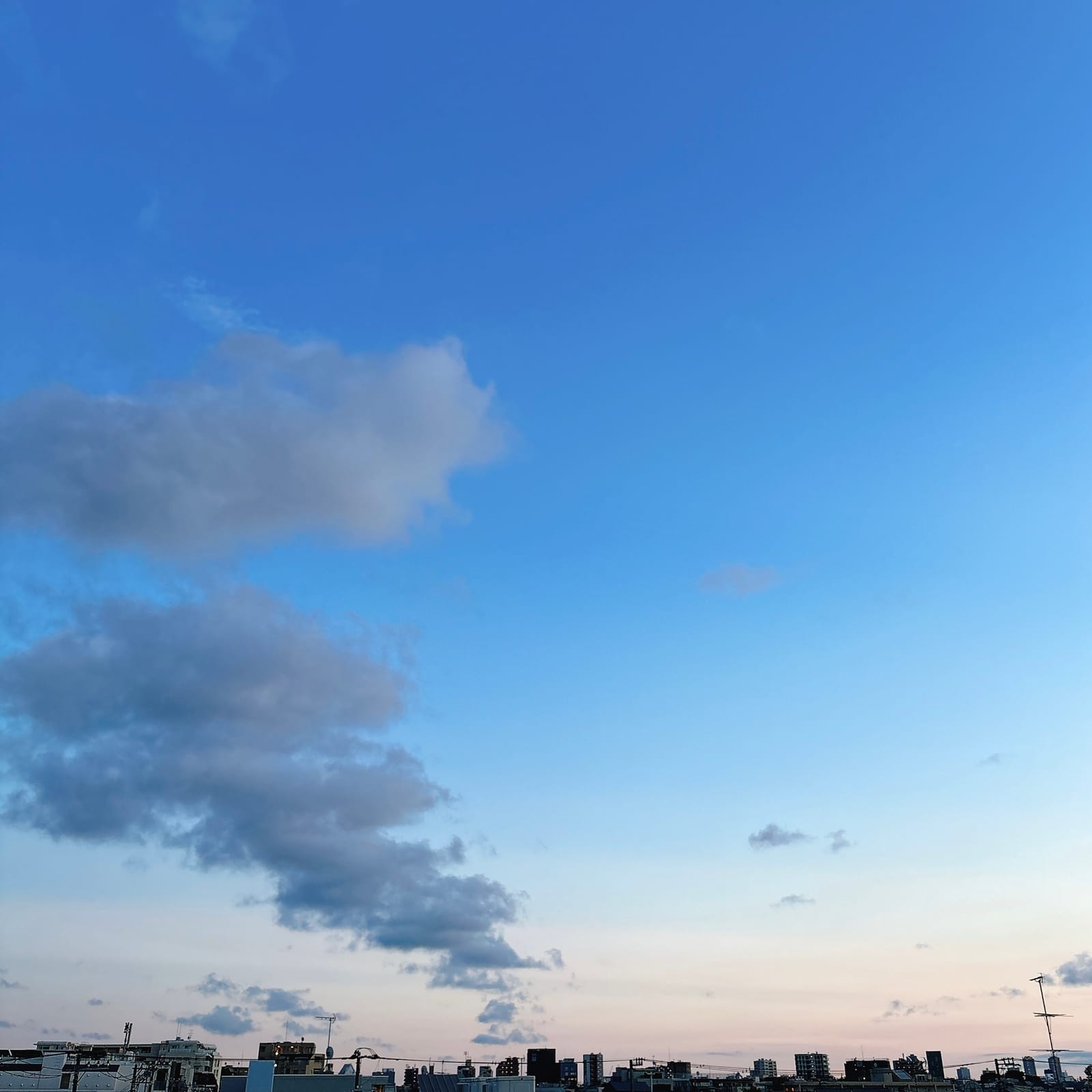 誇り高き、ショートカット。