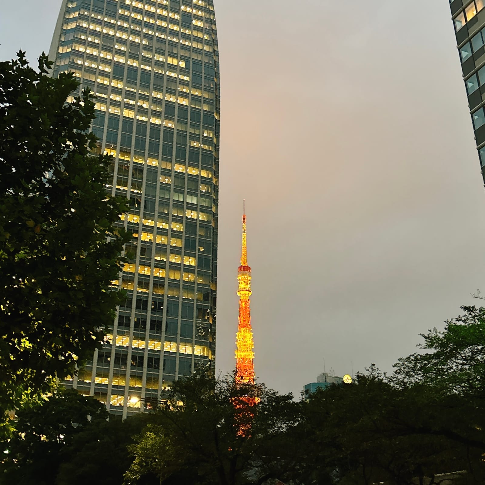 泣きながら素数