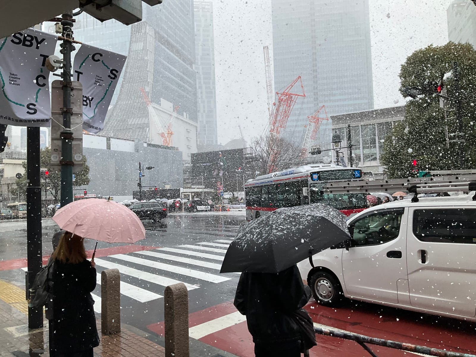 なごり雪？