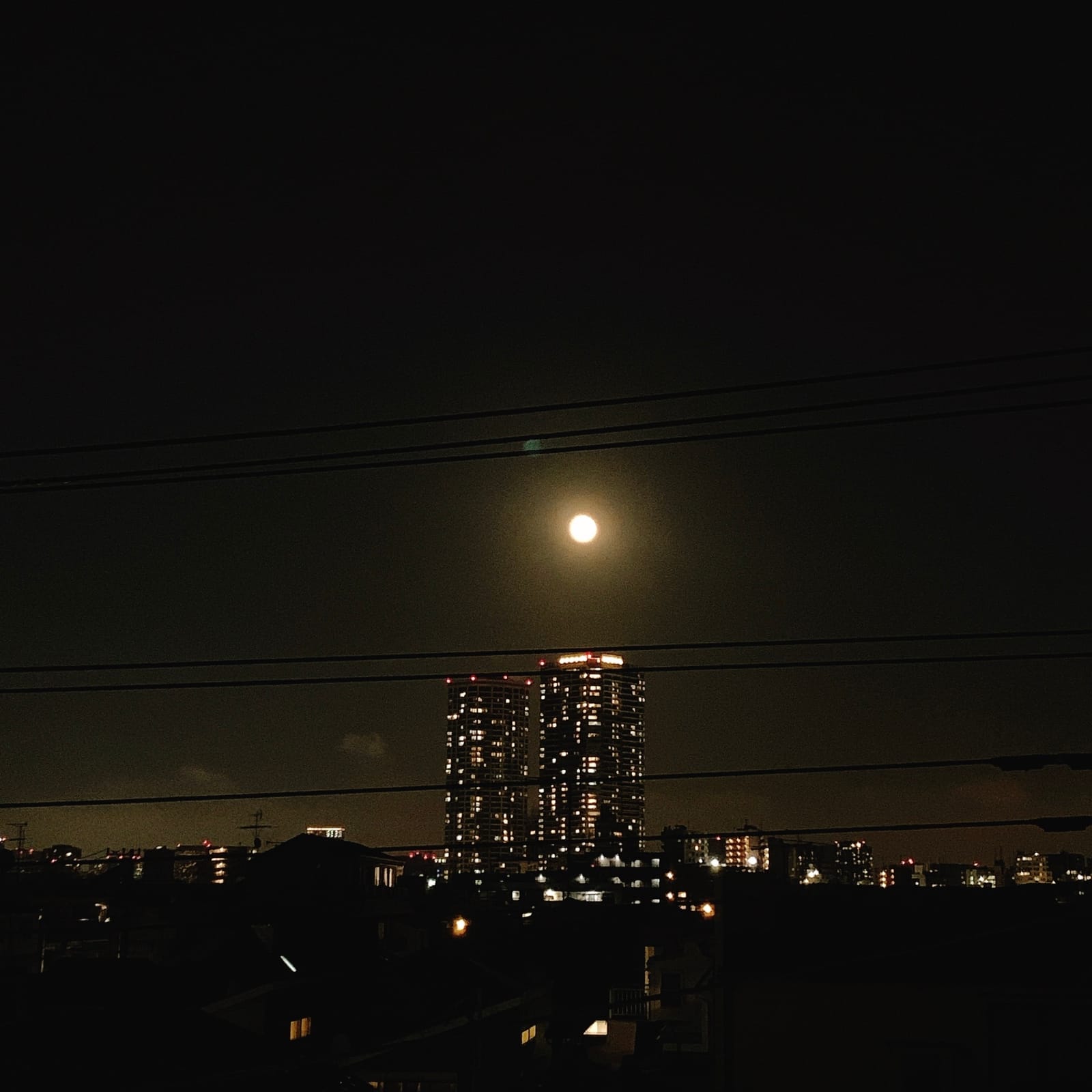 今しか見れない景色
