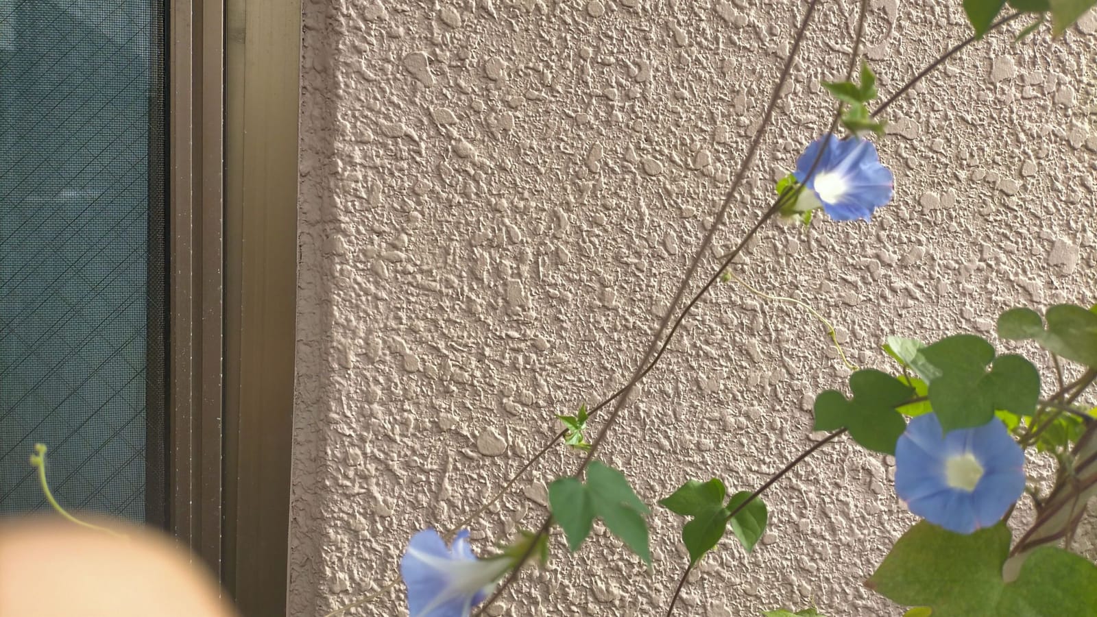 くらしをつたう
