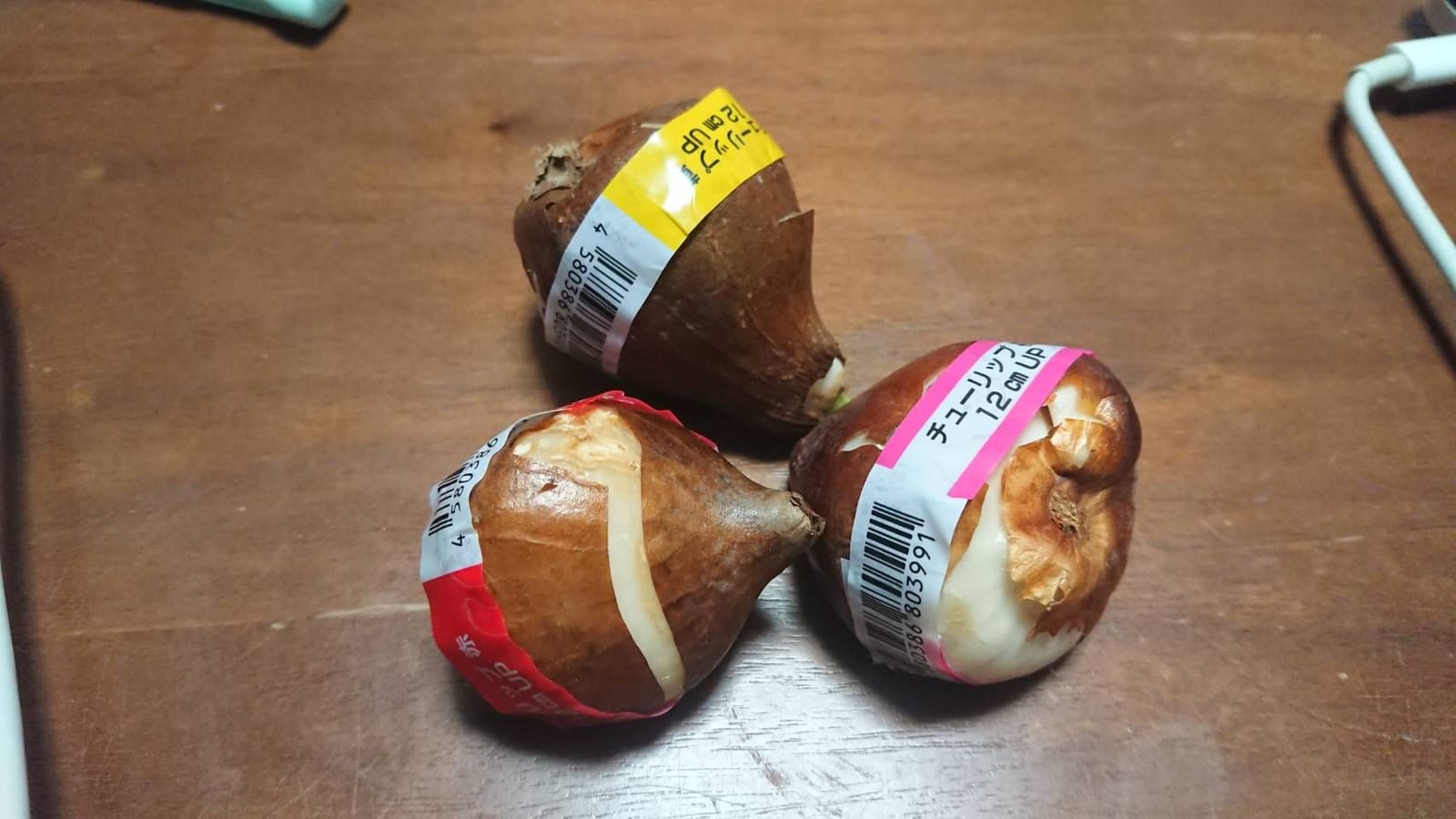 好きな色を選ぶのじゃ
