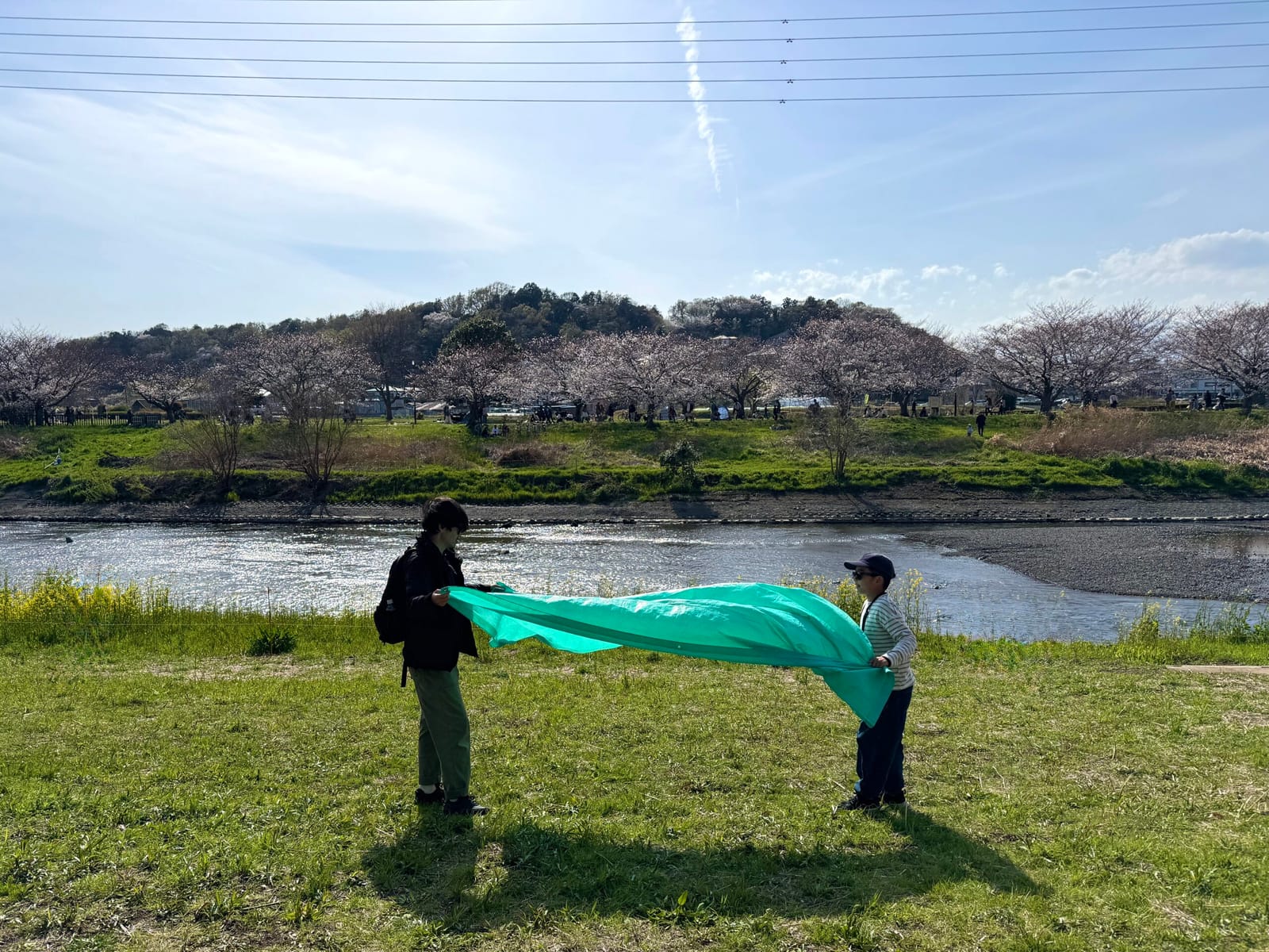 夫はお花見が好き
