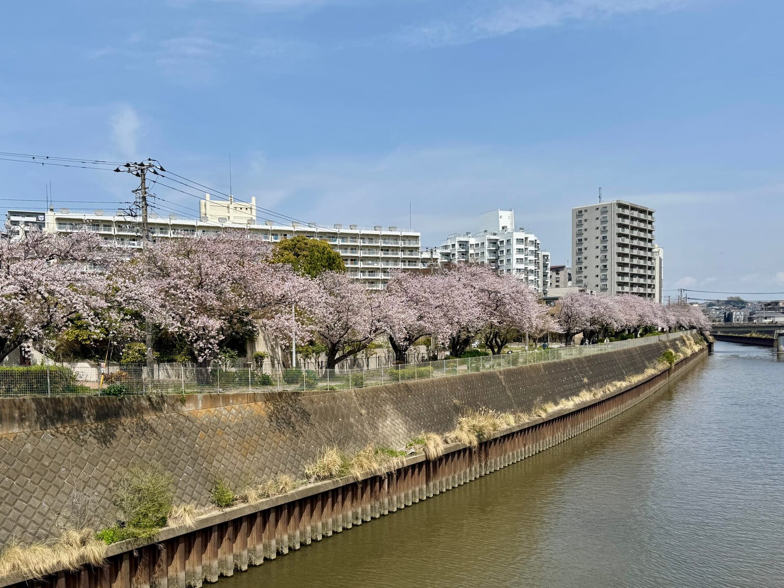 潜在意識に宿る