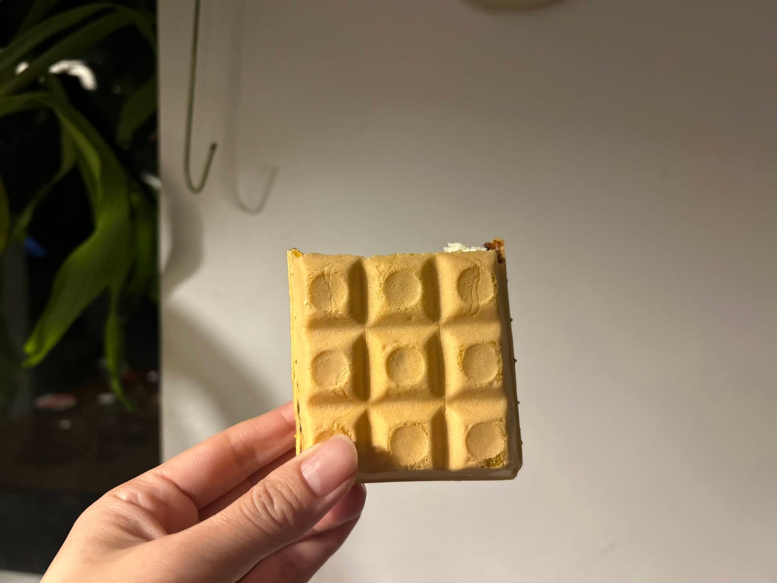 これハズレです
