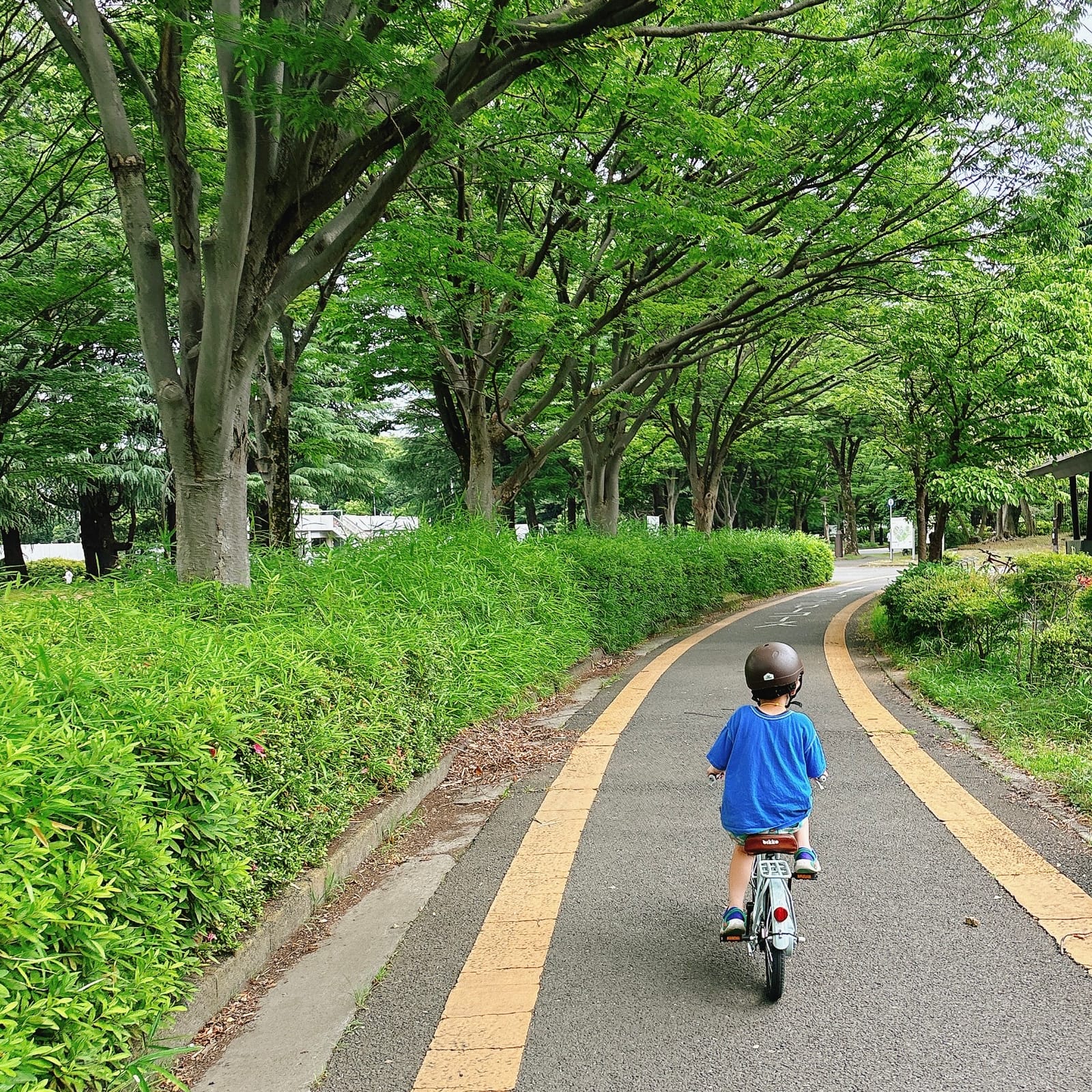 私は弱い人間なのだろうか