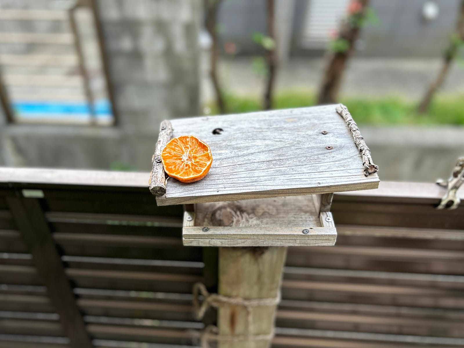 ¥1,686 ちょっと贅沢な珈琲店 レギュラーコーヒー1,000g