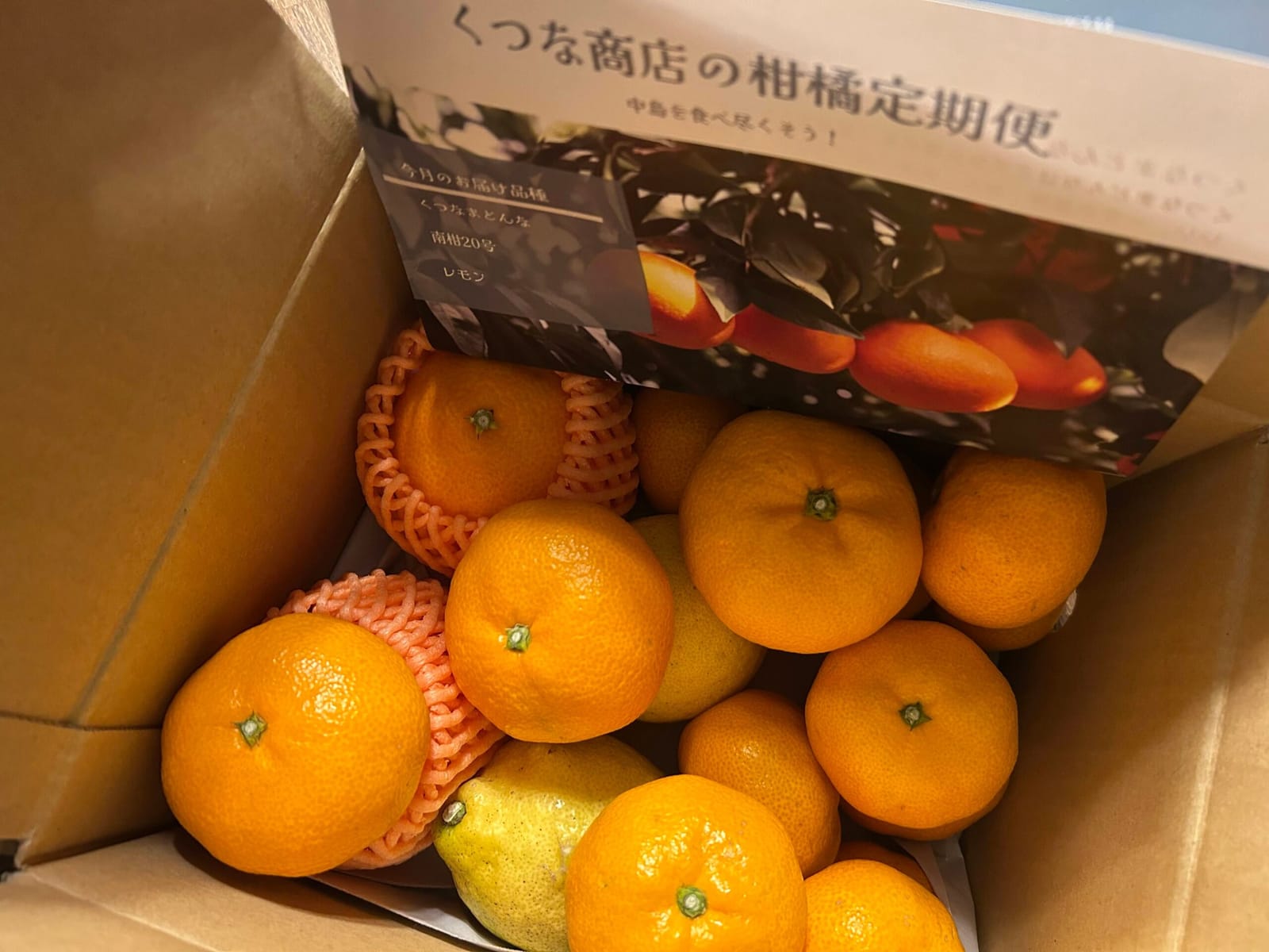 お守り持ったよ！