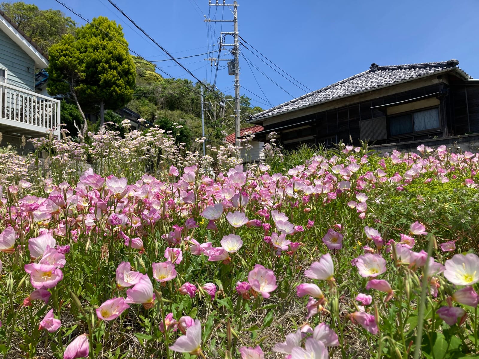 5月の青空の休日に