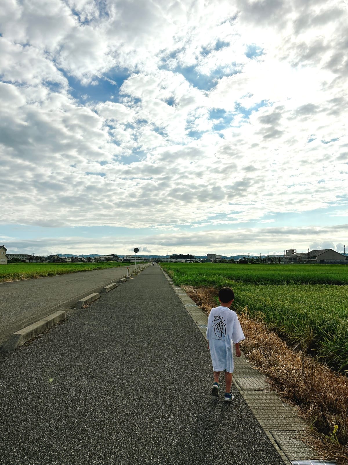 楽しみにされていた夏だった