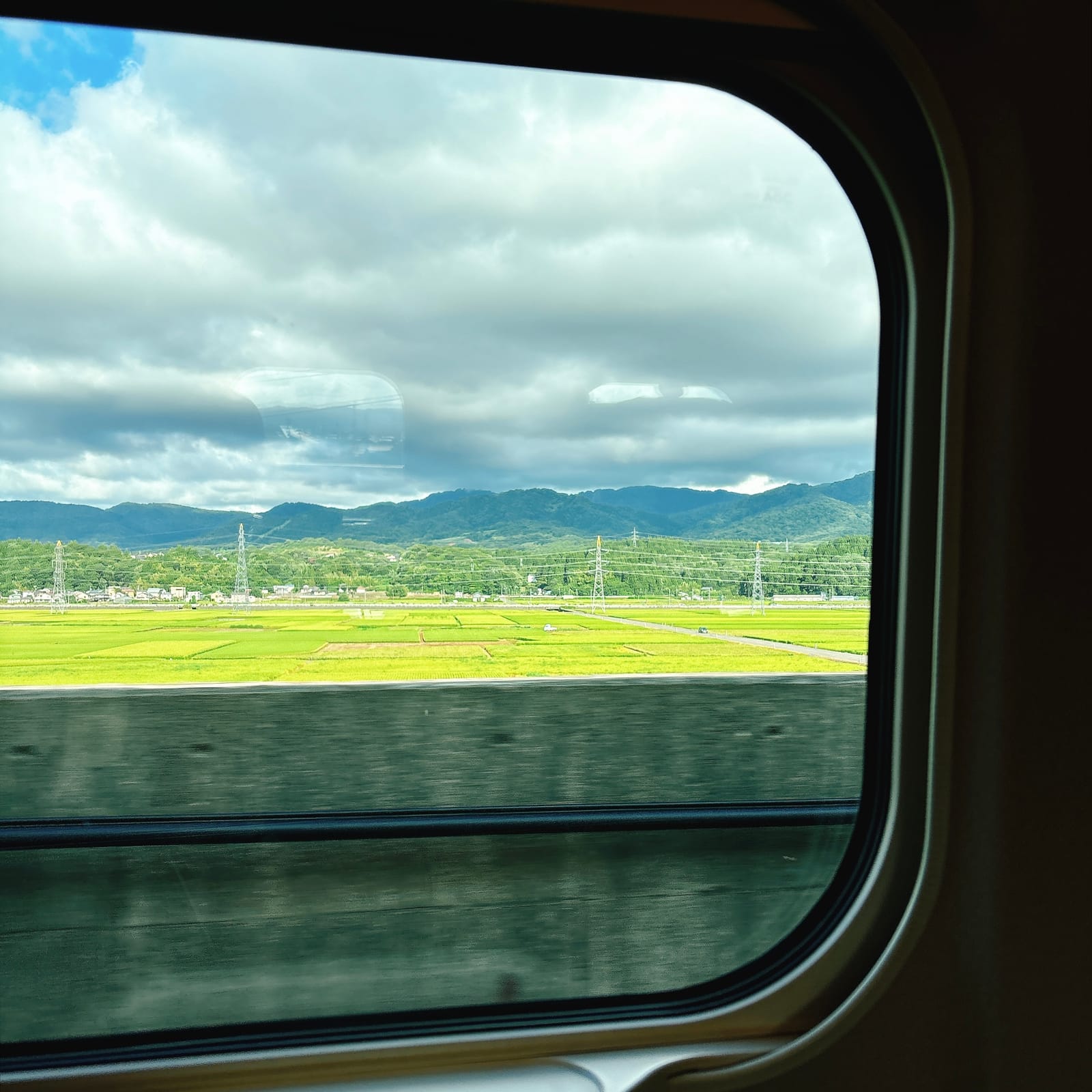 夏の回数を意識した