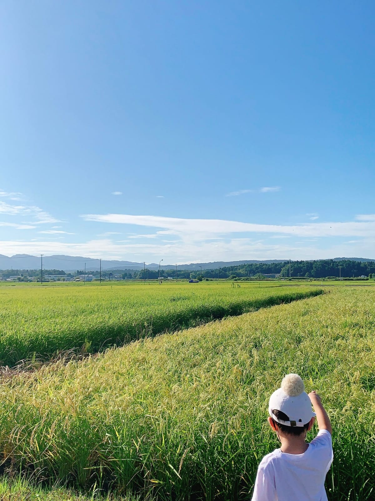 昭和の扇風機から