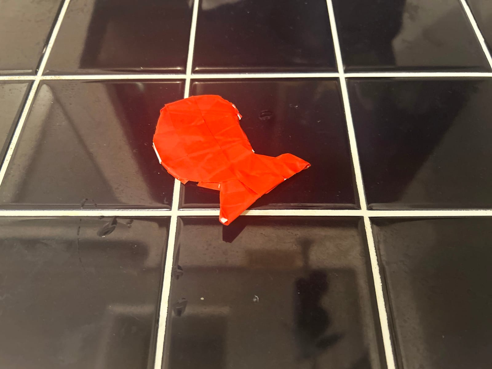 ¥0 赤い魚
