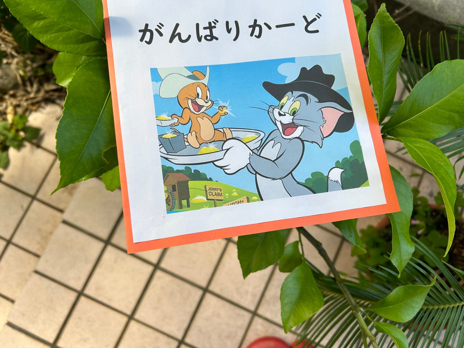 ￥0 がんばりかーど