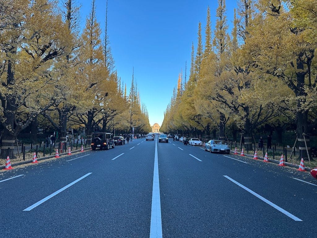 朝のいちょう並木