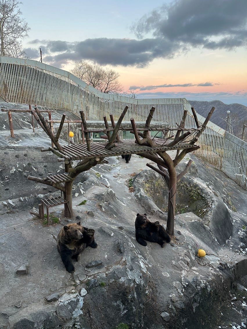 のぼりべつクマ牧場