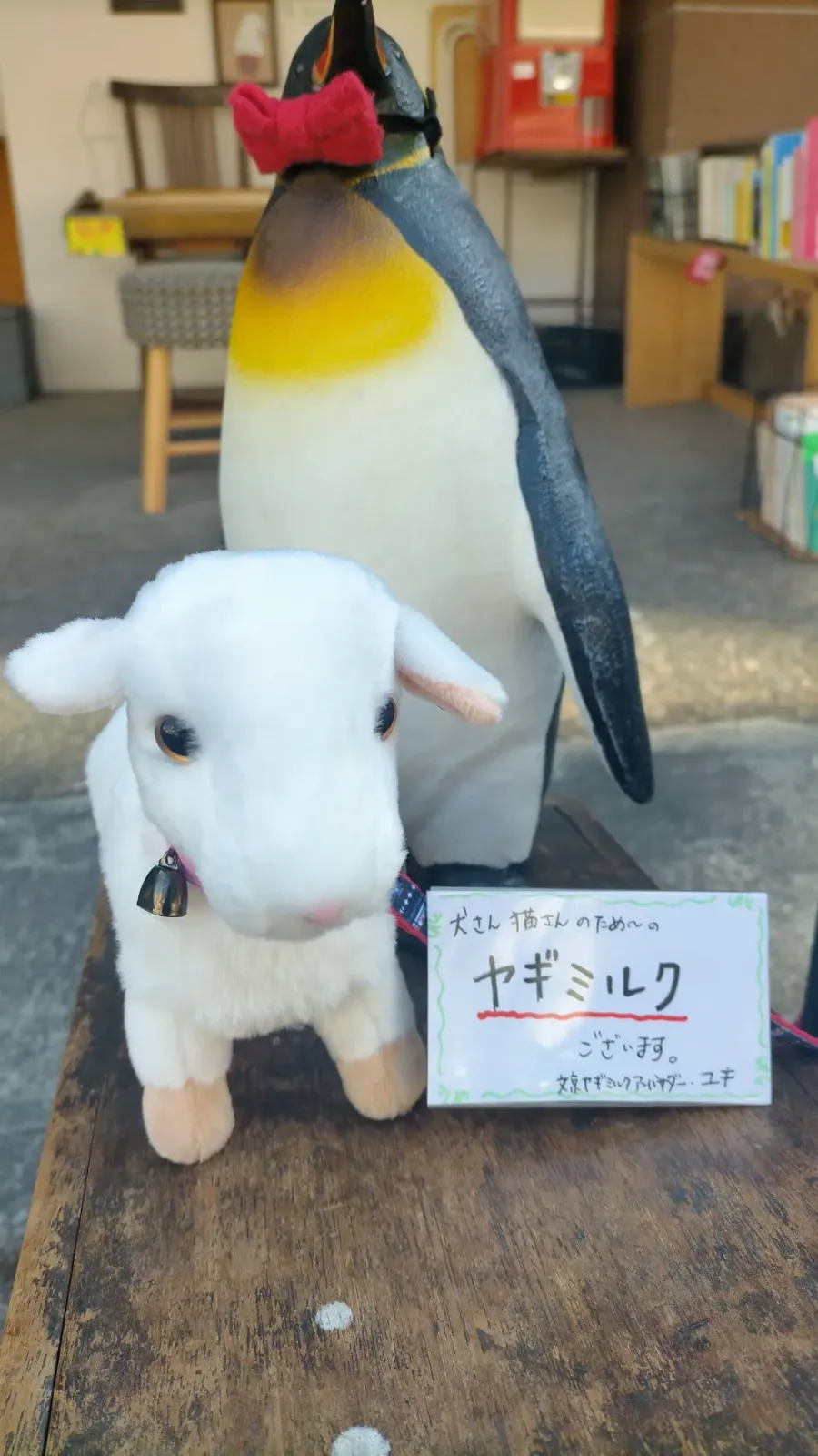 新メンバーを紹介するぜ！