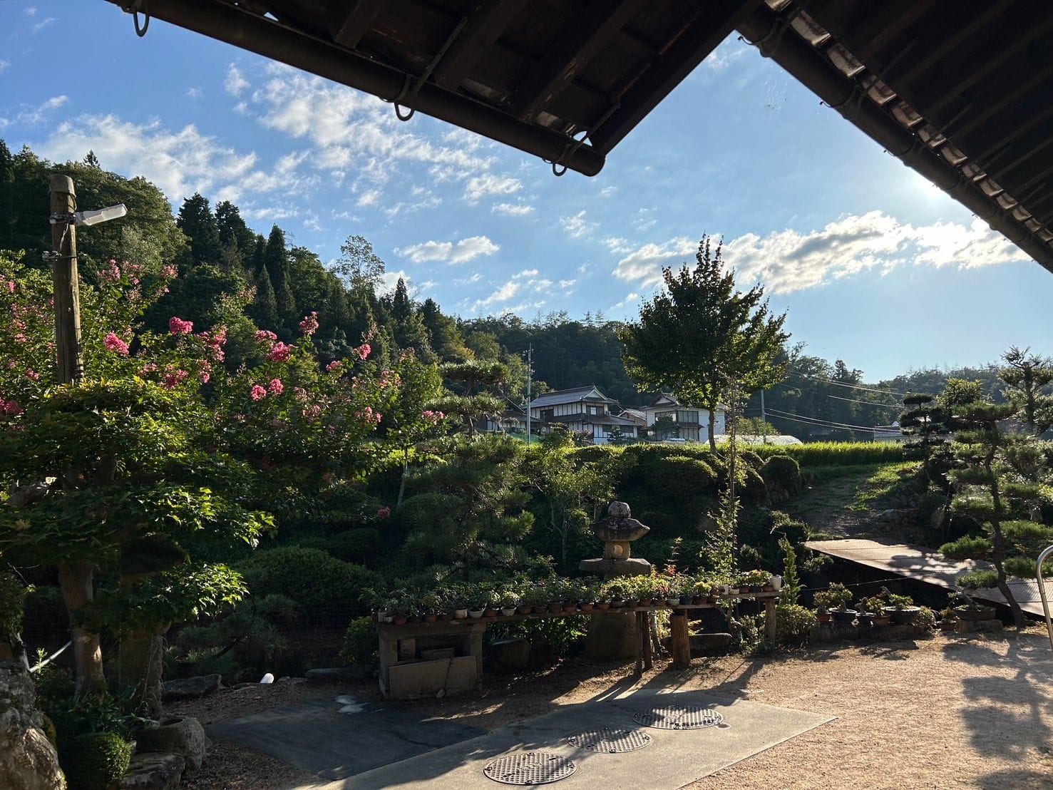 ¥0 田んぼのある風景