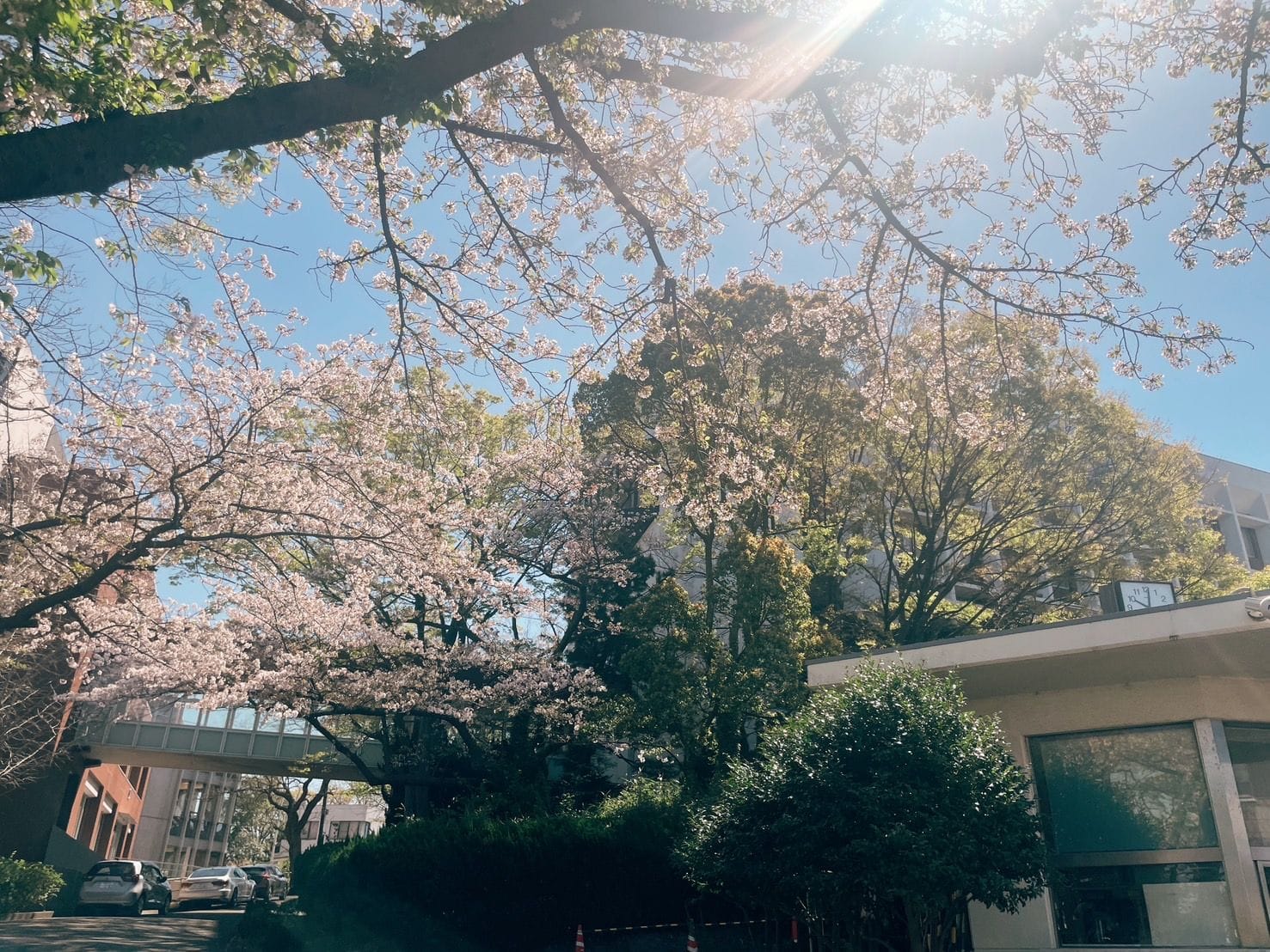 喋りっぱなしの1日