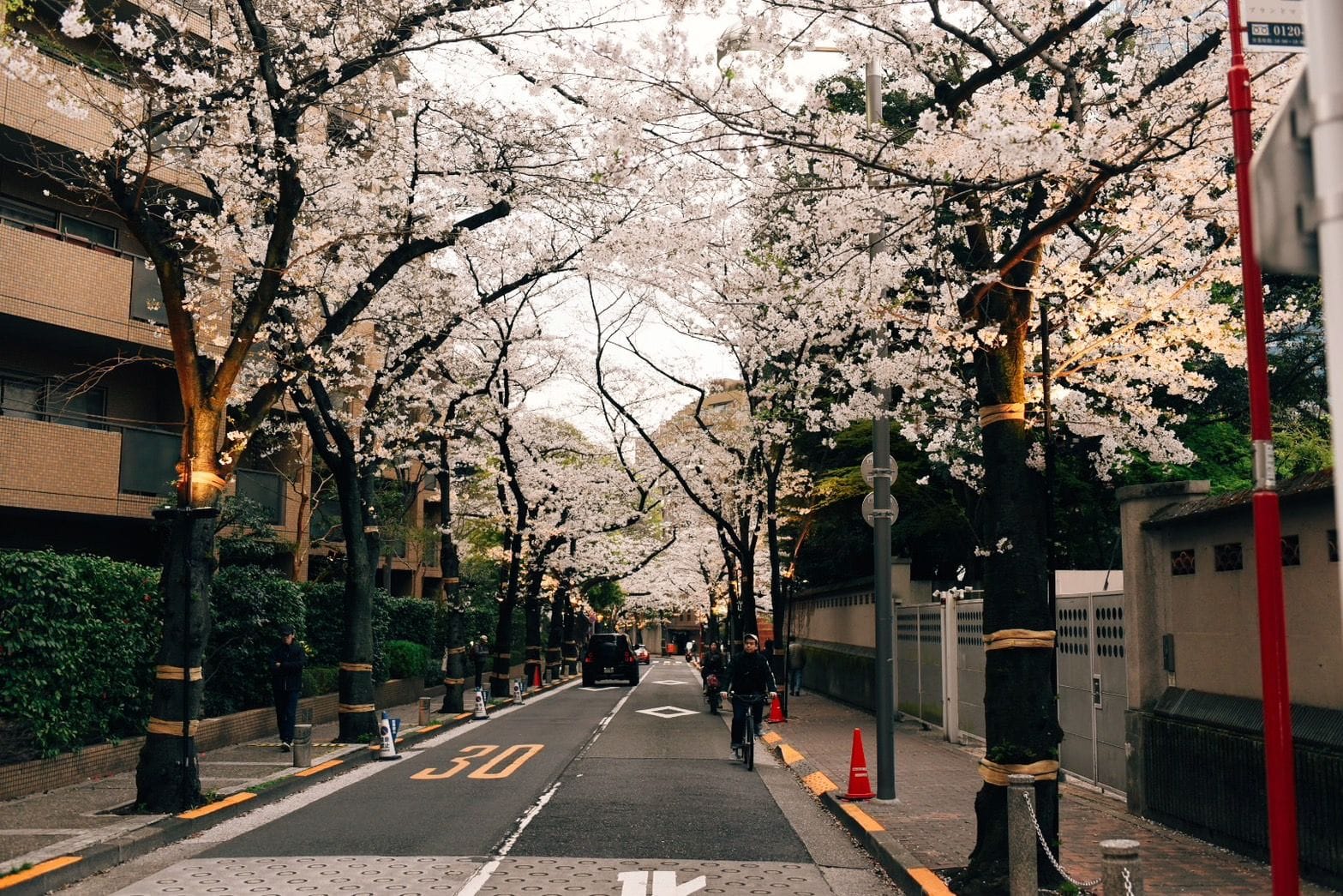 新・新年度