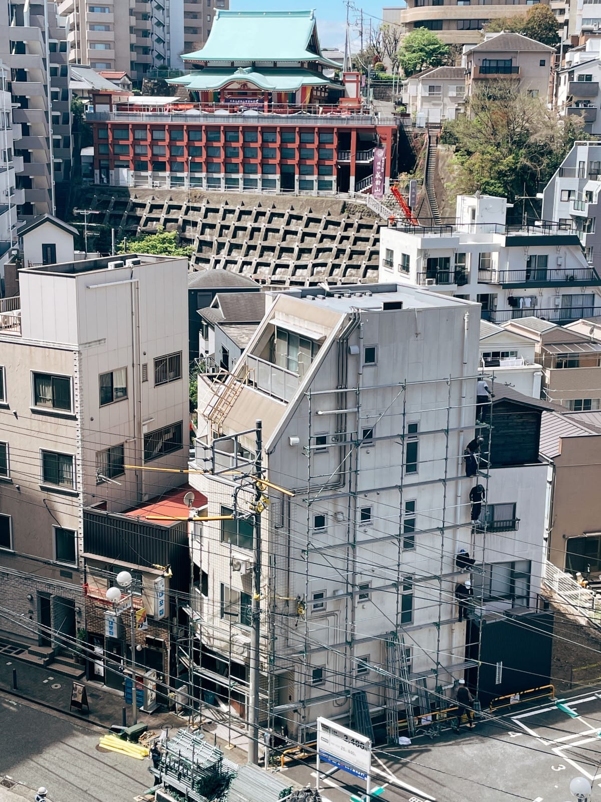 楽しそうでなにより