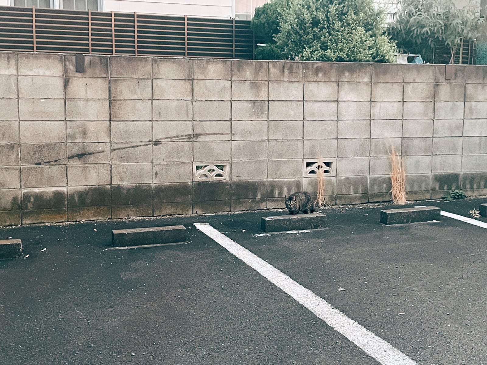 一瞬で癒