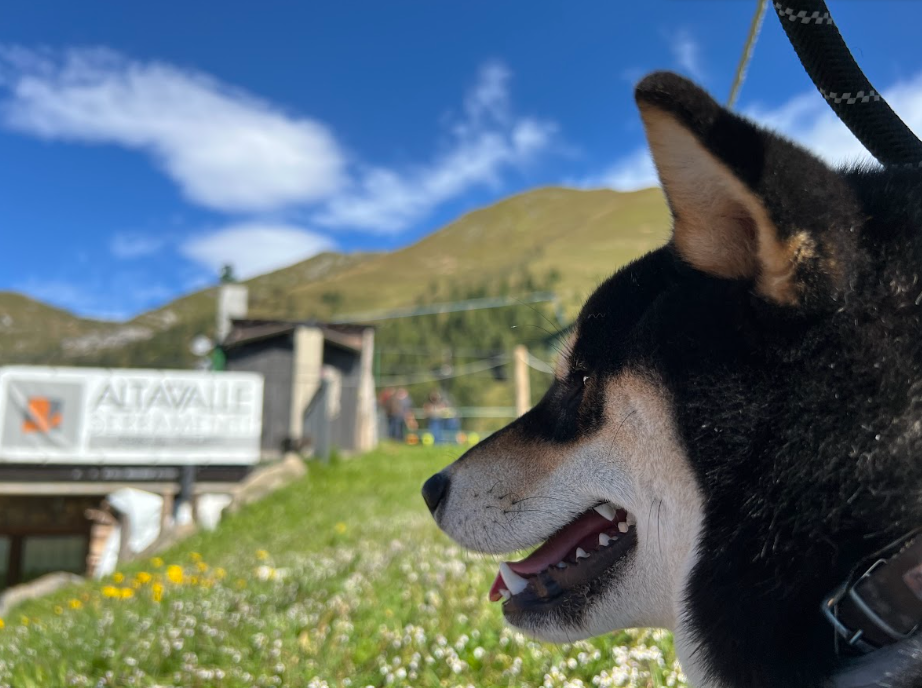 500m elevation