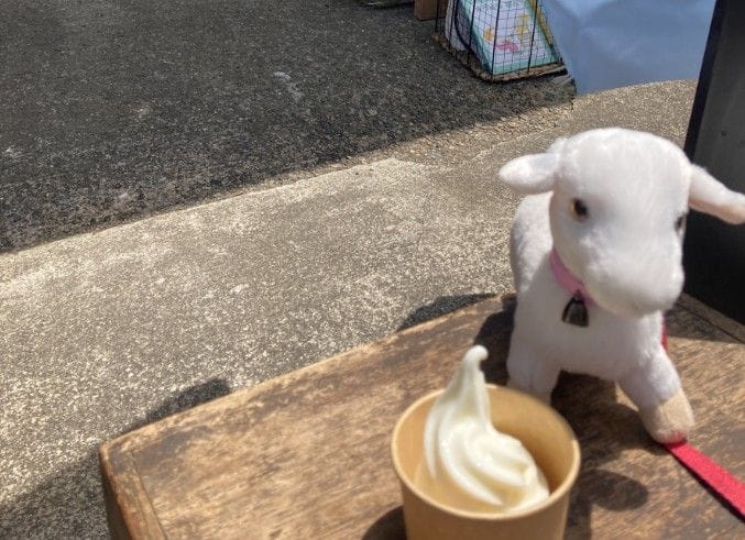 隣人の悩みのタネに水をまく