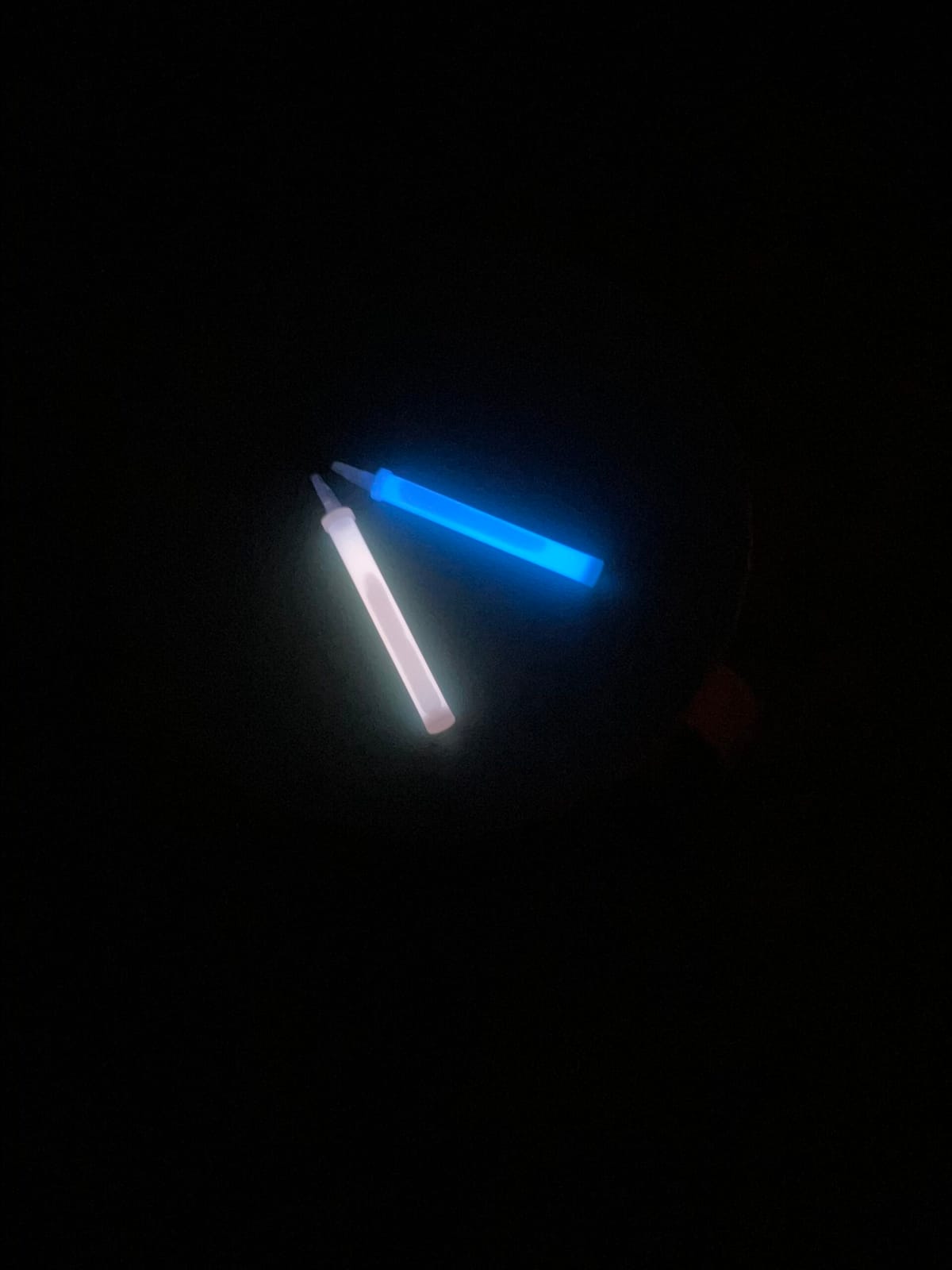 人生初ライブ
