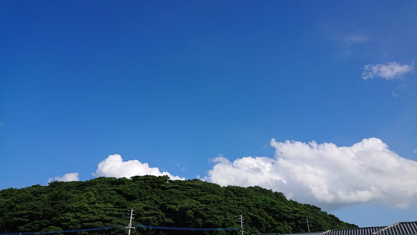 梅雨が明けたらしい。