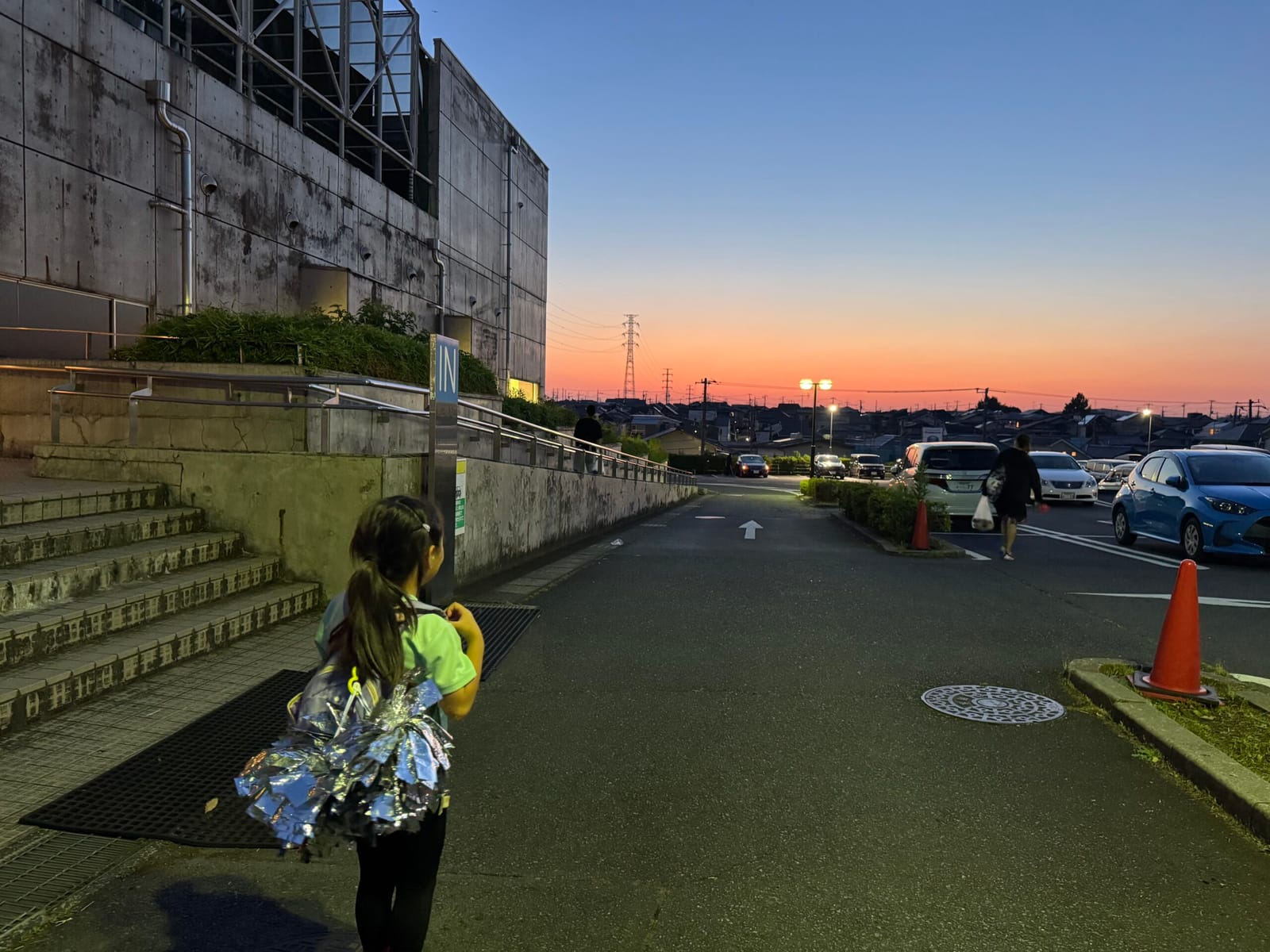 沼にハマる