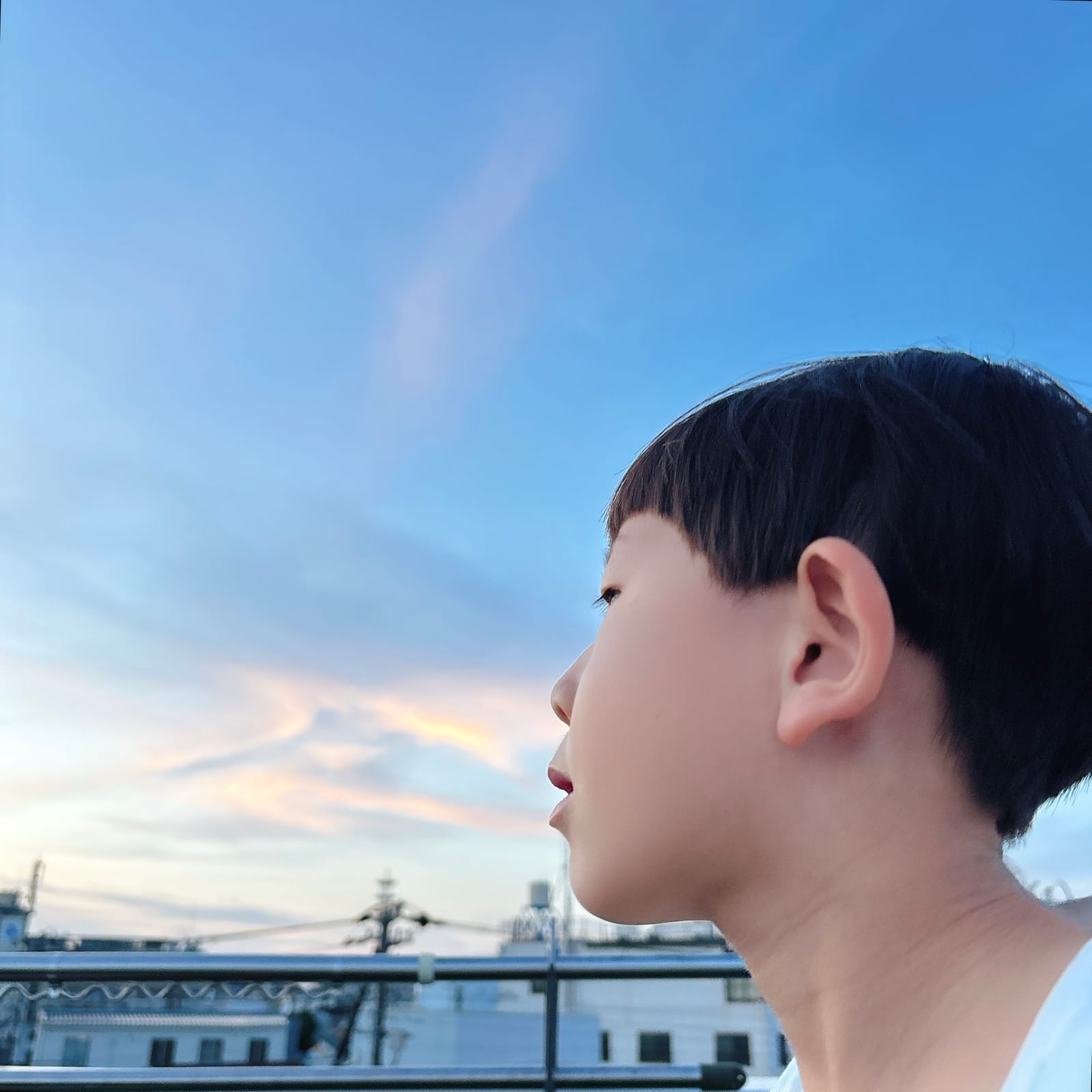それでも家族は続く