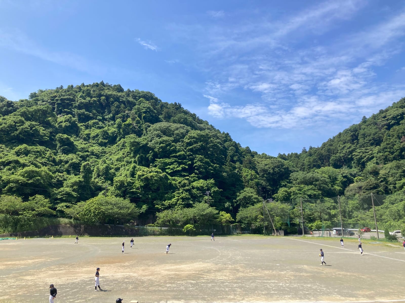 白球を追って