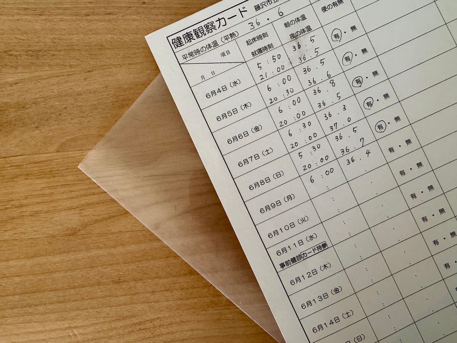 なるようにしかならん